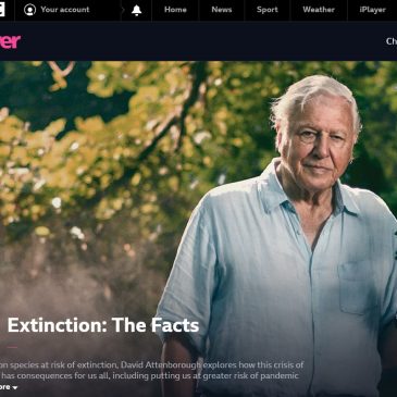 The Sixth Mass Extinction